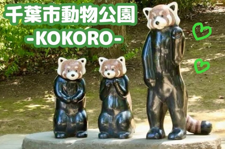/blog/