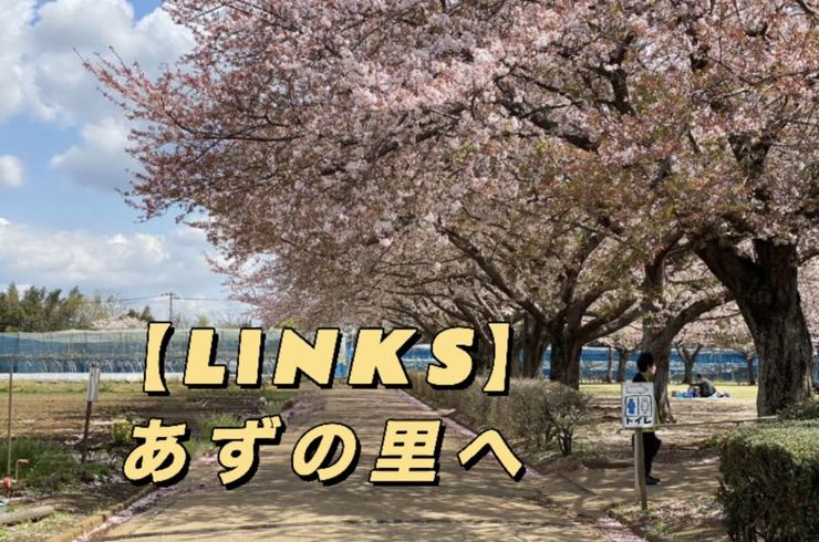 /blog/